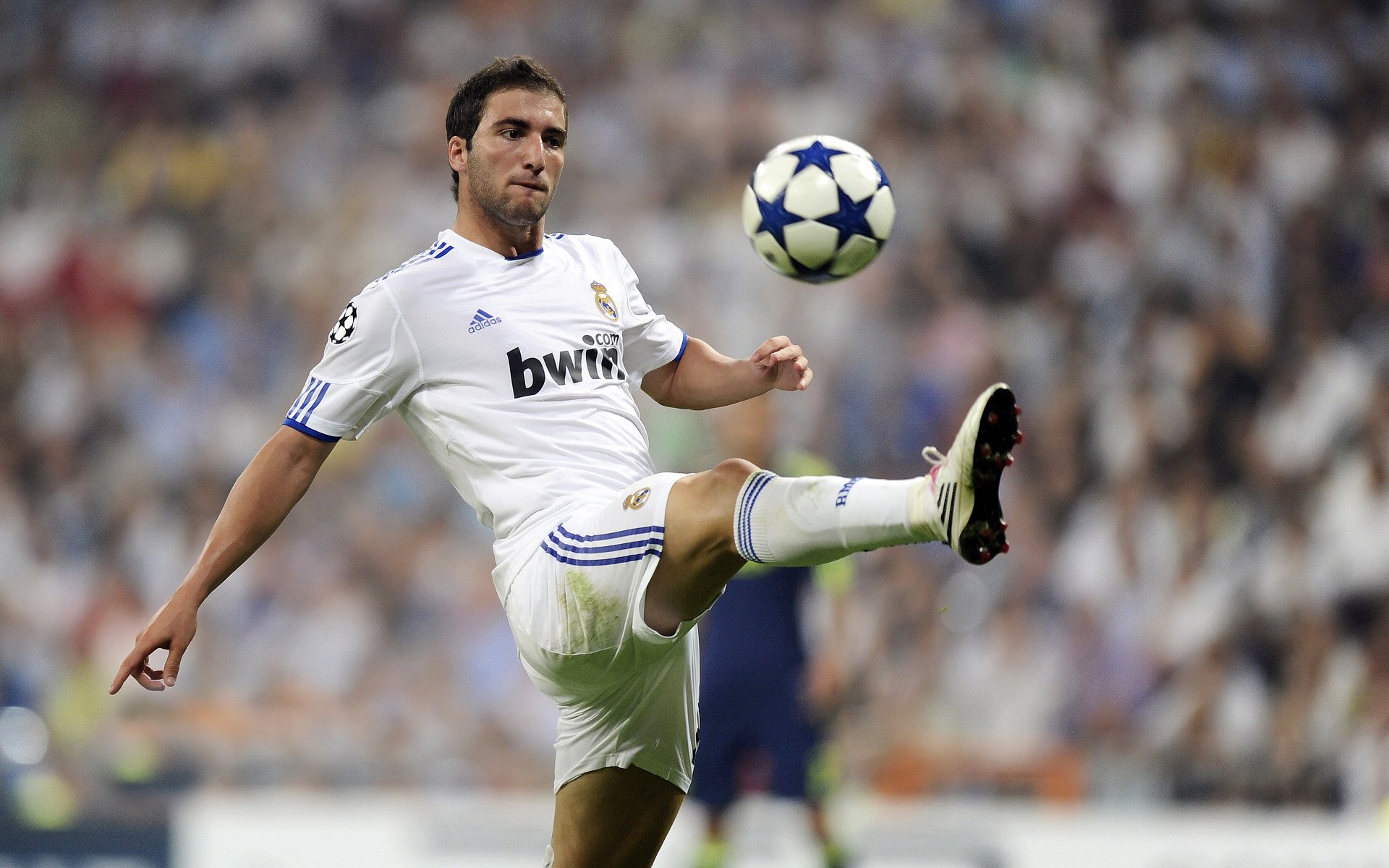 爱游戏 电竞-德甲都市战：速度、力量和战术的完美结合，德甲球队城市分布